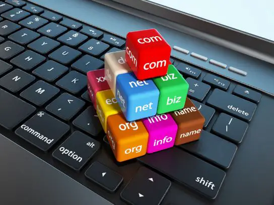 Choosing Your Domain Name 