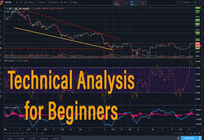 The Technical Analysis for Beginners