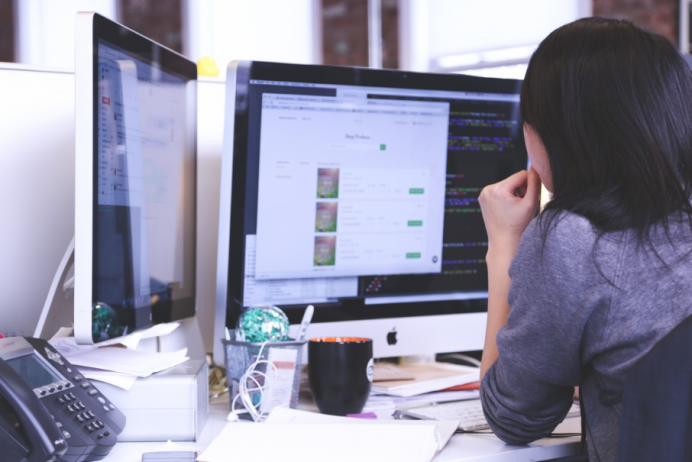 Software Developers