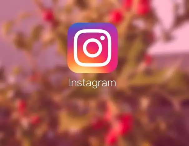 Promotion on Instagram