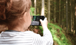 Internet and Device Safety Tips