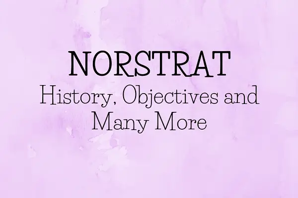 Everything you need to know about Norstrat
